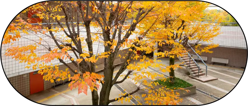 奈良らしさを感じる帰り道